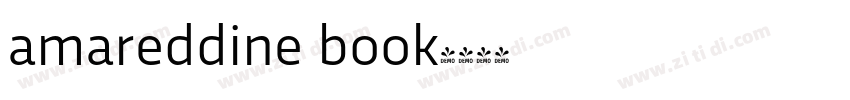 amareddine book字体转换